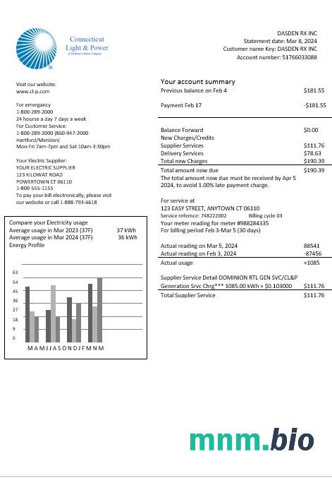 USA Connecticut Light & Power electricity rachunek za usługi komunalne w formatach Word i PDF